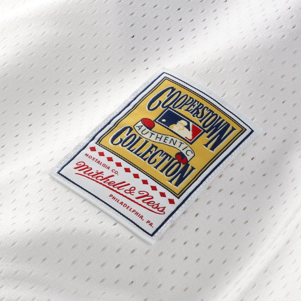 Men's Chicago White Sox Carlton Fisk Mitchell & Ness White Authentic Batting Practice Jersey