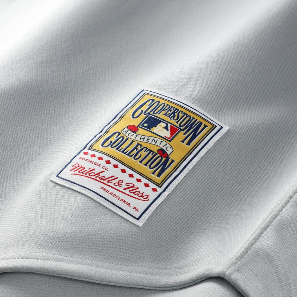 Men's Cincinnati Reds Pete Rose Mitchell & Ness Gray 1976 Authentic Jersey