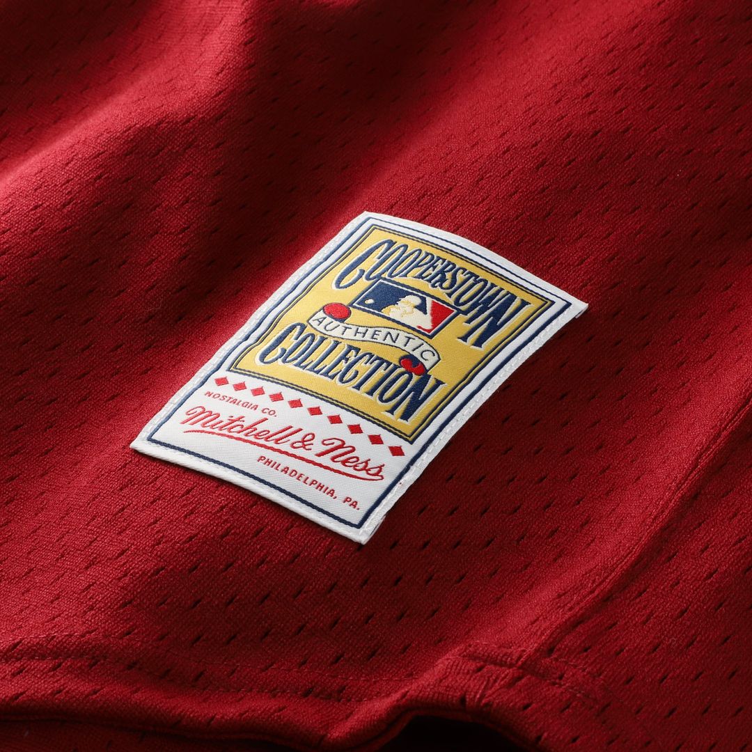 Men's Philadelphia Phillies Darren Daulton Mitchell & Ness Scarlet Authentic Batting Practice Jersey